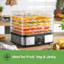 VonShef 250 Watt Food Dehydrator