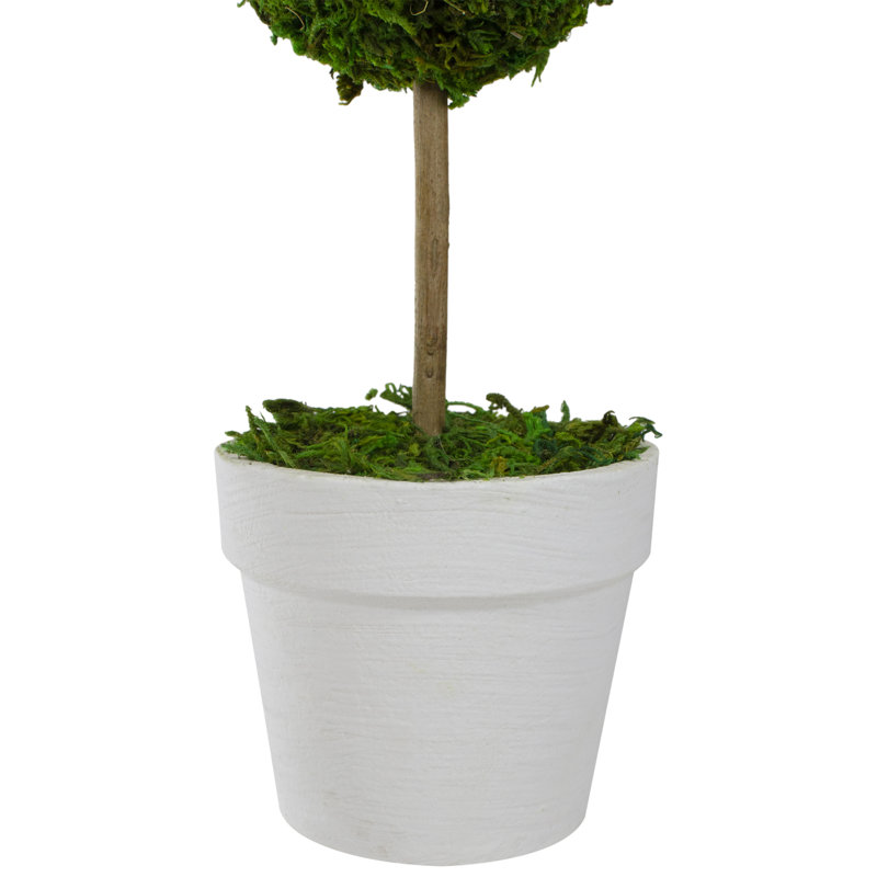 Elegant Outdoor Reindeer Moss Topiary in White Pot, 14" High