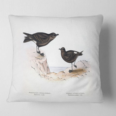 Vintage Bird Of Europe III - Traditional Printed Pillow