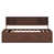 Dark Brown is out of stock selected