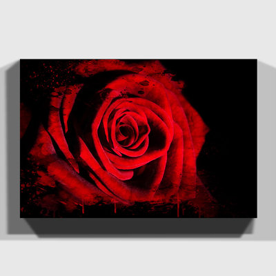 Red Rose Flower 11 - Wrapped Canvas