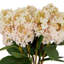 Tige de fleur artificielle Cole et Grey-1192675294-1192675293