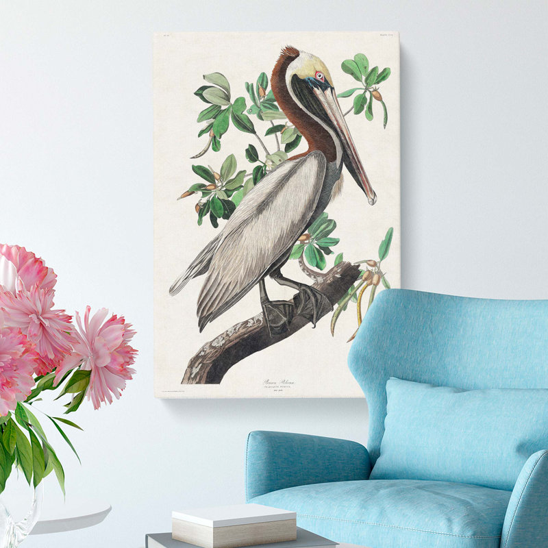 Brown Pelican by John Audubon - Wrapped Canvas, 50cm H x 35cm W x 3cm D