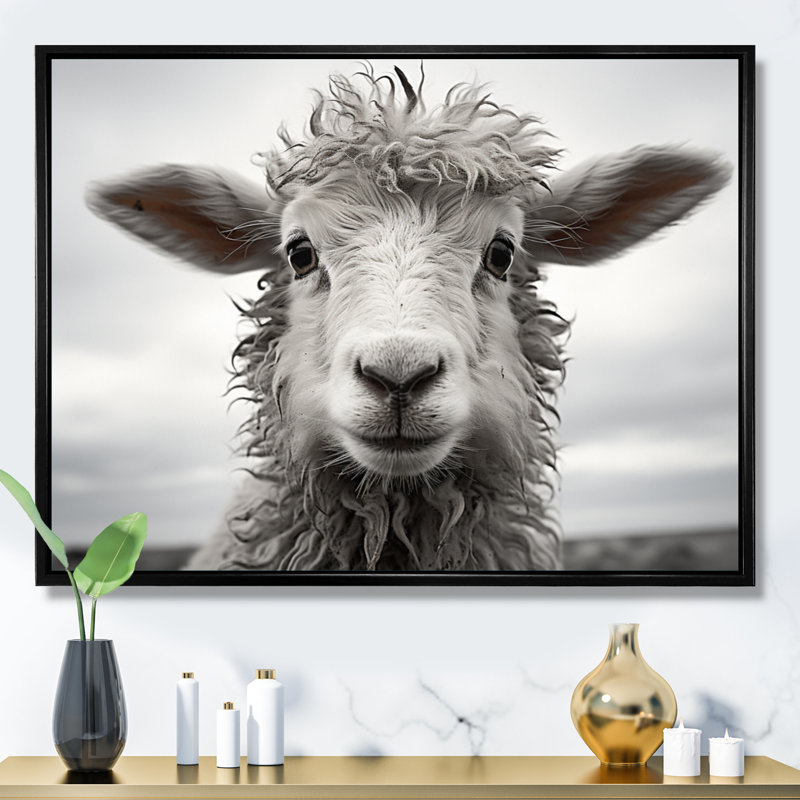 Sheep Serenity - Sheep Canvas Wall Art, Black Floater Framed, 24" H x 32" W