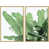Encadré naturel sélectionné