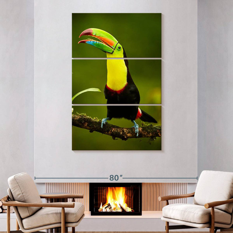 Toucan arc-en-ciel Brampt, H 74 po x l 48 po