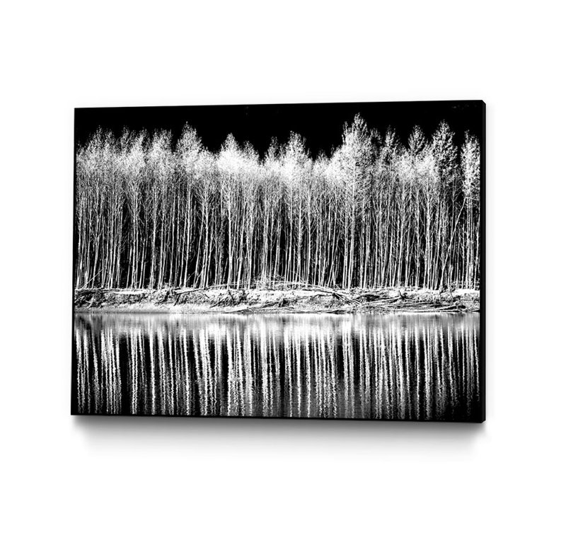 « photographie 1 », reproduction de photo sur toile, H 16 po x l 20 po x P 2 po