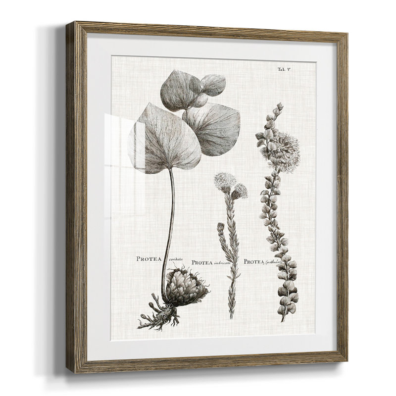 Inner Hall I, reproduction encadrée, Blanc, Papier avec cadre noyer