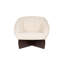 Accent Chair Lounge Chair