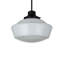 Luminaire suspendu 1 lumières scolaire single Moton