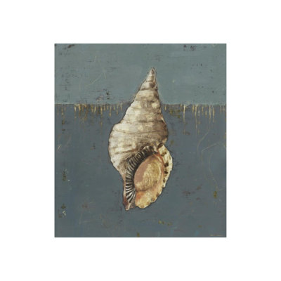 Seashell A Print by Sarah Atkinson