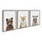 Efren Studio Bear, Studio Fox and Studio Raccoon Framed Canvas by Amy Peterson Art Studio 3 Piece