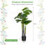 47,5 plante