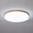 Trotman Acrylic LED Flush Mount