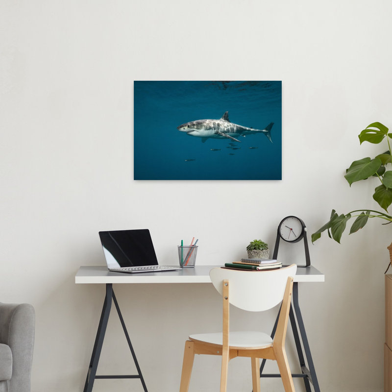 " Majestic Great White Contemporary Fish Shark Nature Ocean Wall Art Print " Print, 24" H x 36" W