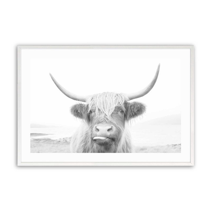 Imprimé de vache Highland ludique, H 9 po x l 11 po x P 1,25 po, Cadre opaque blanc