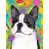 Boston terrier 2