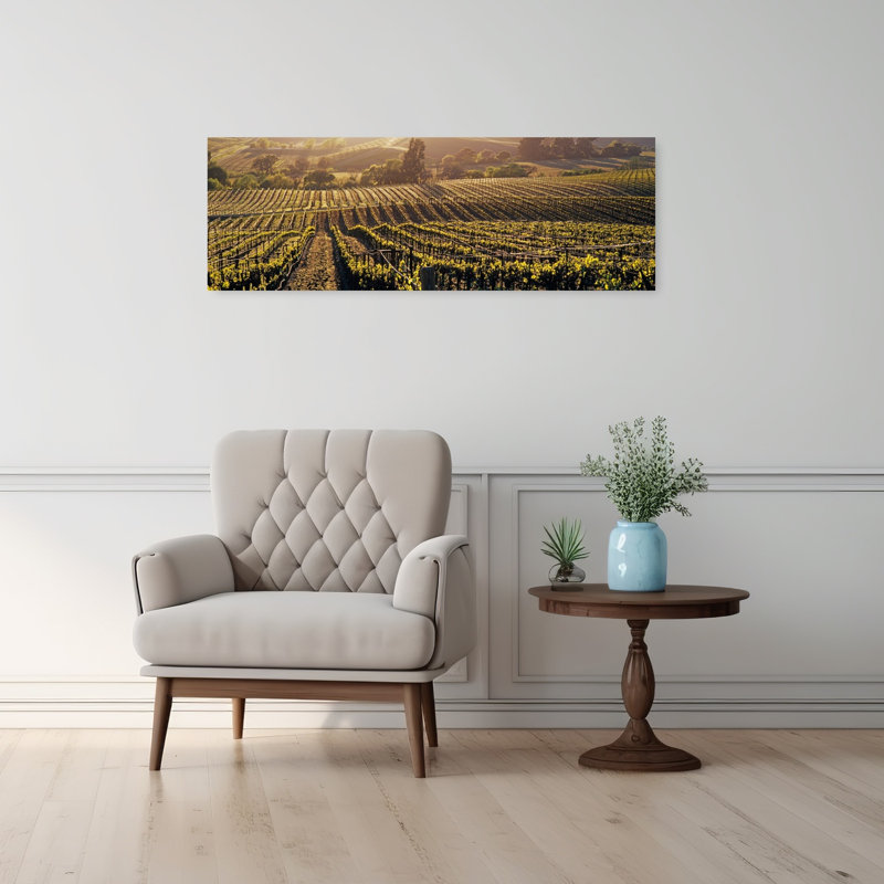 Vue aérienne de lignes dans un vignoble, vallée de Careros, Californie, États-Unis, H 12 po x l 36 po