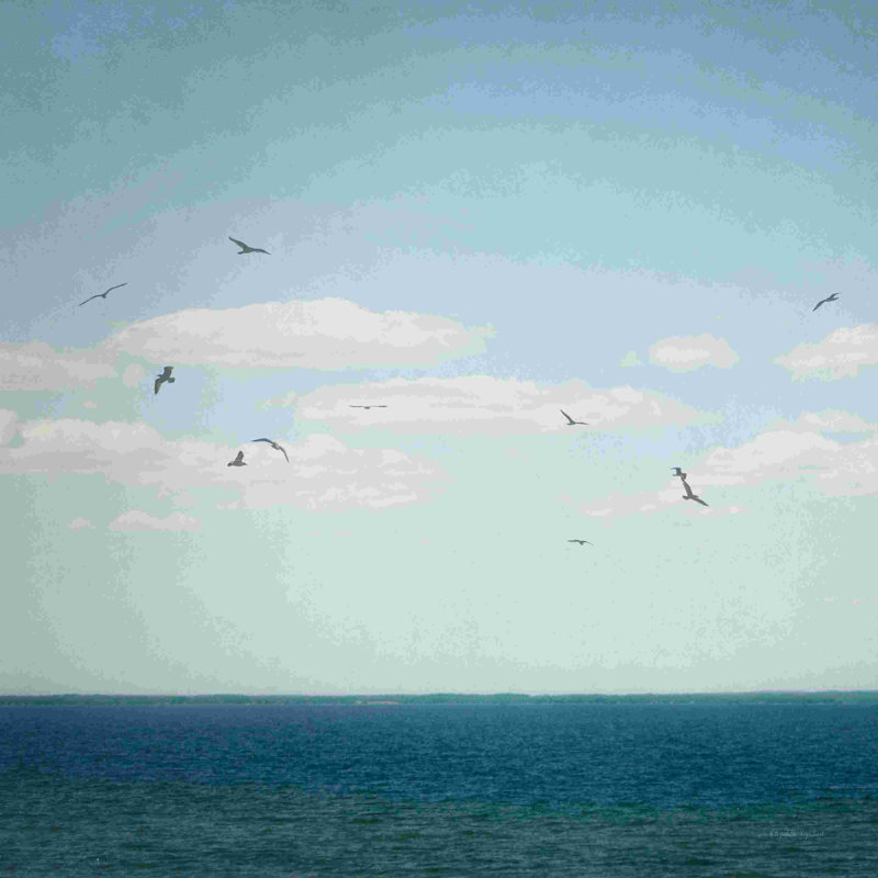 " Calm Days IV " Painting Print, 36" H x 36" W