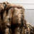 Hand Woven Throw Blanket-31552048