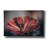 Epic Graffiti 'Elevation Bloom'  by Nathan Larson Canvas Wall Art, 40" x 26"