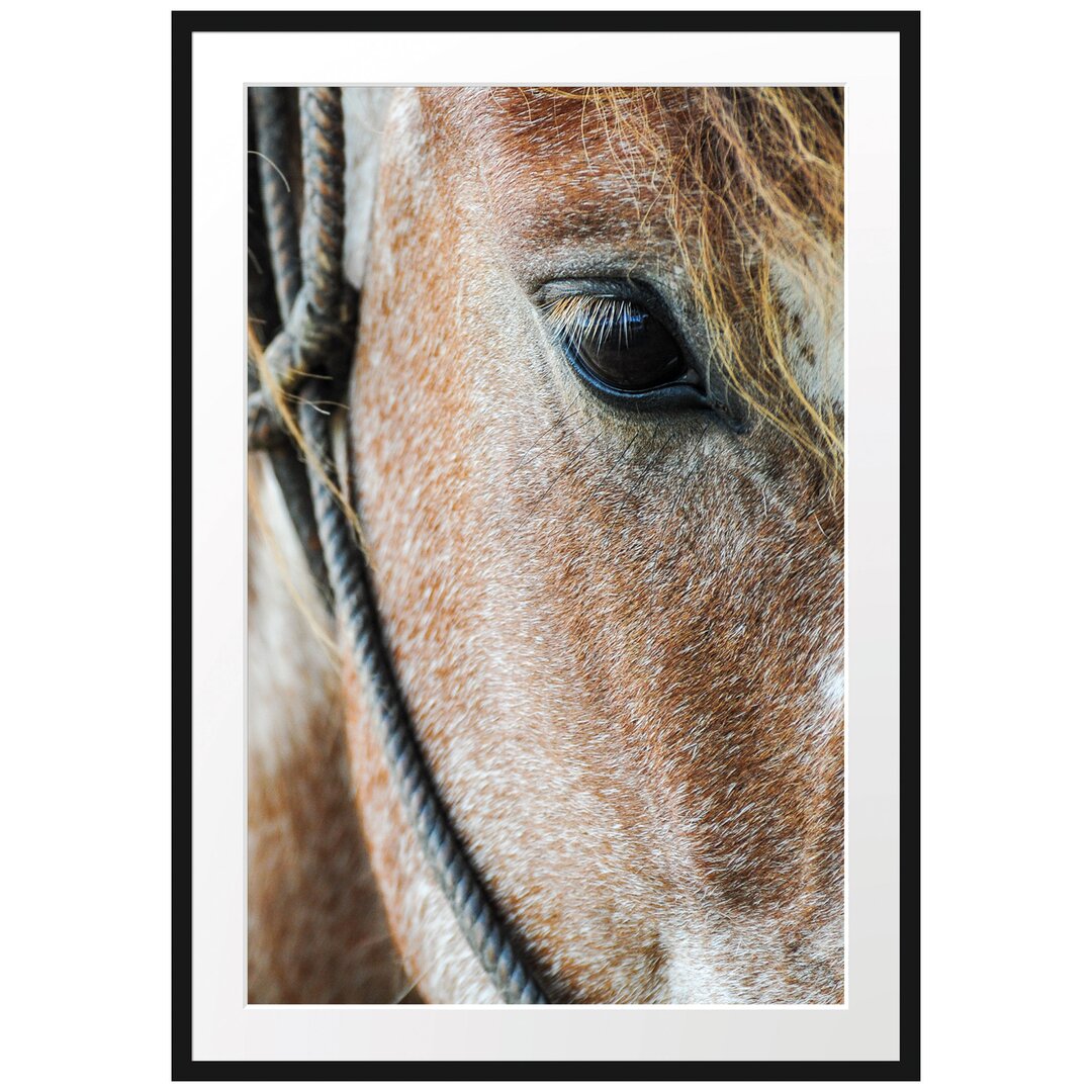 Gerahmtes Poster Magnificent Horse