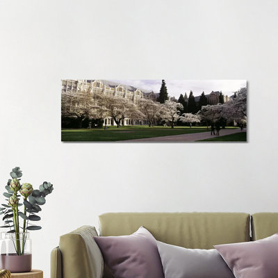 Cherry Trees In The Quad Of A University, University Of Washington, Seattle, King County, Washington State, USA - Wrapped Canvas Panoramic Print
