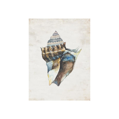 Shell Compilation I Print by Beverly Fuller
