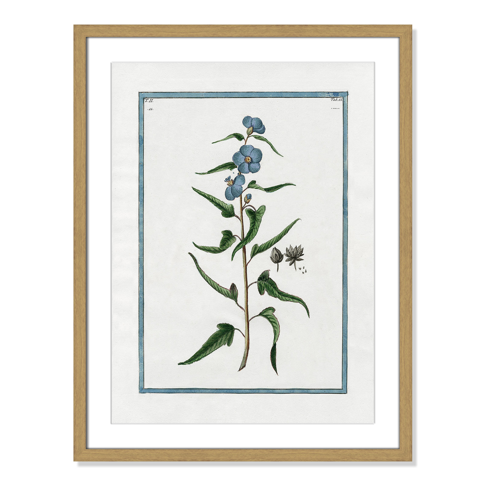 Colombe "Shabby Elegance Botanical I" Print, 17" W x 23" H, Natural Framed