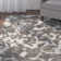 Cary Indoor Rug