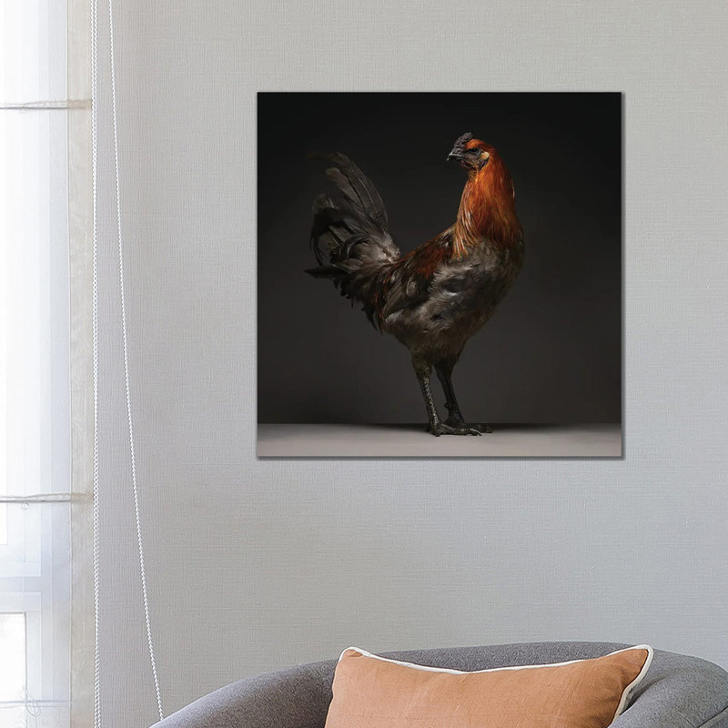 Liege Fighter - Wrapped Canvas Print, 66.04 cm H x 66.04 cm W x 1.91 cm D