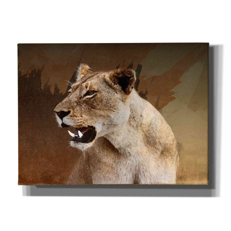 «Wildness Lioness» par - peinture sur toile tendue, H 40 po x l 54 po x P 1,5 po
