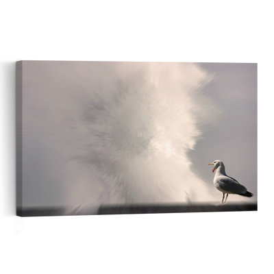 Startled Seagull Splash Dramatic Contemporary Seagull Bird Coastal Nature Wall Art Print by Anna Cseresnjes - Print