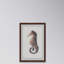 Stiff Seahorse 1 Piece Single Picture Frame Painting-1124991920-1131985225