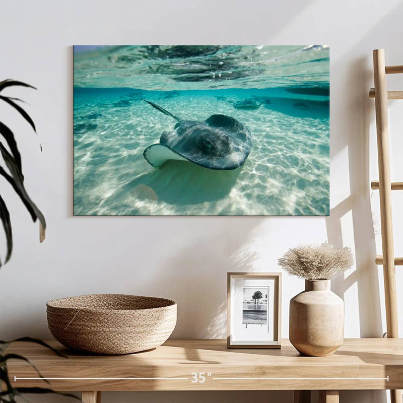 Brampt Underwater Southern Stingrays, 16" H x 24" W