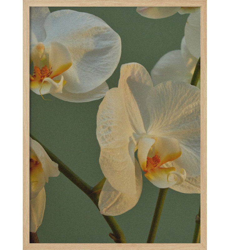"Floral Haven", art mural texturé encadré, Naturel, H 40 po x l 30 po