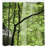 Shower Curtain with Hooks Included-44323233