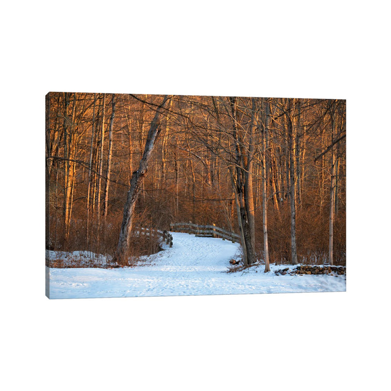 Long Pond Path by David Gardiner - Print on Canvas, 8"H x 12"W