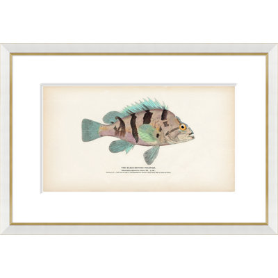 Animals Print by Soicher Marin Archives
