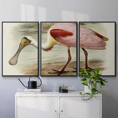 " Roseate Spoonbills II " 3 - Pieces
