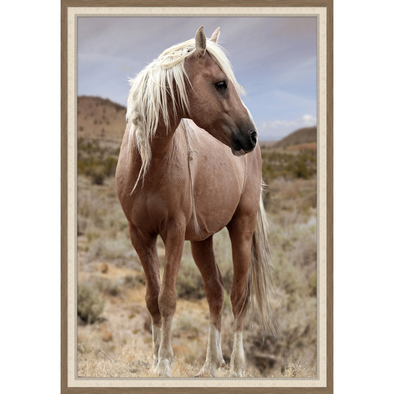 Blonde Stallion Print by Nathan Turner