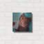 «Dog Selfie» par Lucia Heffernan-1312996216