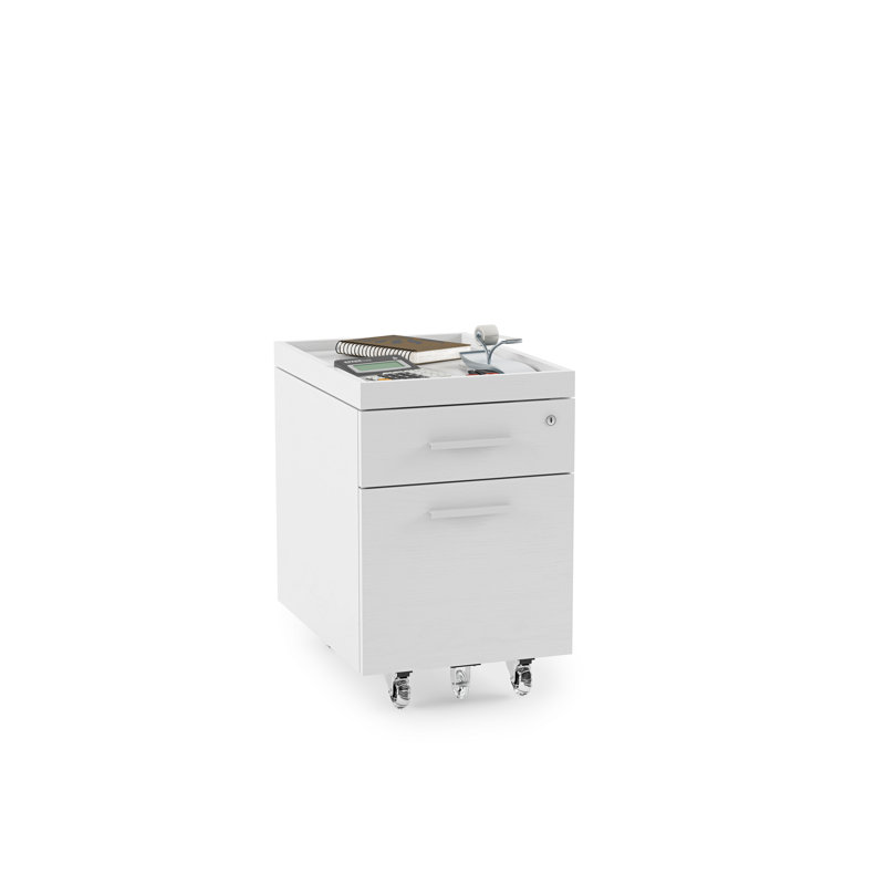 Centro 15.25'' Wide 2 -Drawer Mobile File Cabinet