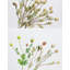 Branche de feuillage artificiel de 24 po pour remplissage de vase, longue tige de style campagnard d'automne, décoration de table de table de bureau à domicile-929897343