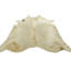 Rug & Kilim’S Extra Large Cowhide Rug In Beige, White And Cream Tones