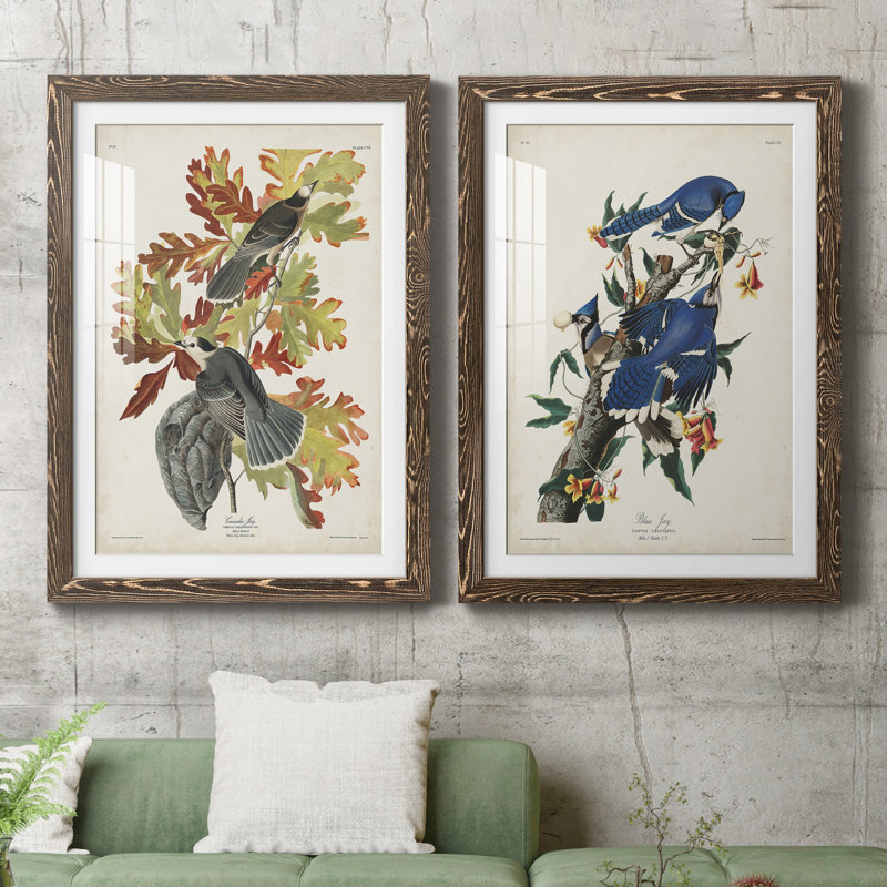 " Pl 107 Canada Jay " 2 - Pieces, 43.5" H x 31.5" W x 1" D, Walnut Framed Paper