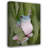 Lark Manor™ D Lester, Linda Gallery Wrapped Canvas Art Titled: A Whites Tree Frogs Pose-2092628412