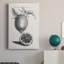 Antique citrons et oranges III - peinture sur toile tendue-97829602