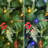 7.5 Ft. Pre-Lit Albany Spruce Artificial Tree