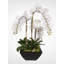 Real Touch White Orchids and Succulents in a Black Metal Zinc Pot